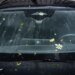 Swiss Re estimates CHF1.7 billion hailstone damage