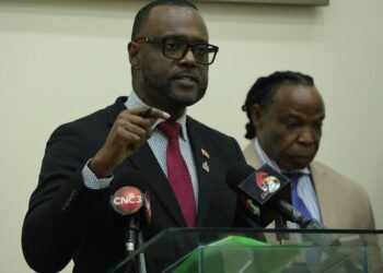 Gonzales accuses Govt of trying to silence PNM