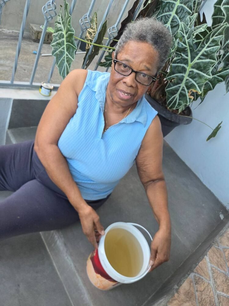 WASA says discoloured water remains safe for domestic use