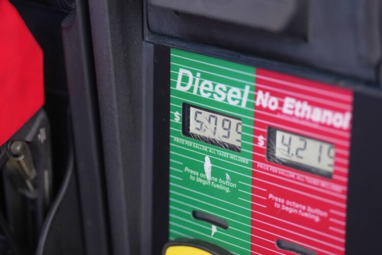 Trump strikes deal with Putin for Russian diesel in sharp reversal of US policy ahead of midterms