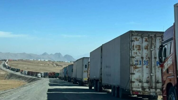 A multi-kilometer line of trucks at the Irkeshtam checkpoint. Video