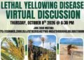 Agriculture Ministry to host virtual discussion on Lethal Yellowing Disease