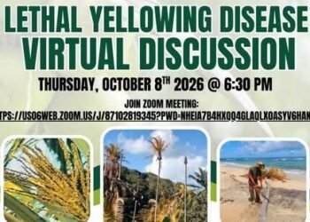 Agriculture Ministry to host virtual discussion on Lethal Yellowing Disease