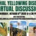 Agriculture Ministry to host virtual discussion on Lethal Yellowing Disease