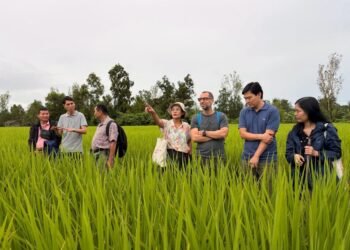 Switzerland supports climate resilience, renewable energy and local economic development in Ayeyawady Region