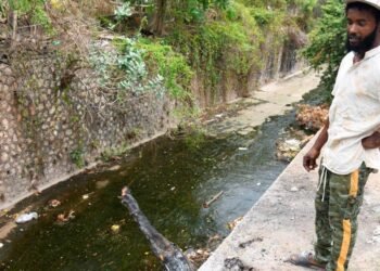 Editorial | Gullies, housing and urban renewal | Commentary