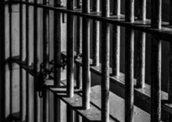 China sentences six for lead-tainted kindergarten food that sickened over 200 children | World News