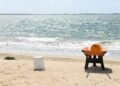 Dennis A. Minott | Towards a tourism wealth inwards retention ratio | In Focus