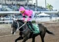 The Prince’s Spur ready to rule | Sports