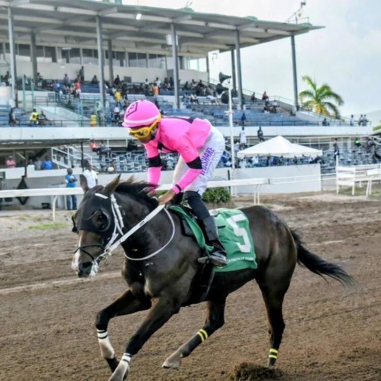 The Prince’s Spur ready to rule | Sports