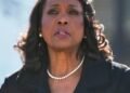 Trump establishes committee to investigate Federal Reserve’s Lisa Cook in latest effort to fire her | Business