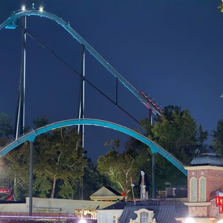 Man falls to his death from a Six Flags roller coaster in Georgia | World News