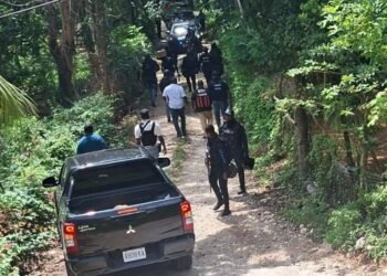Kristen Gyles | Policing: no walk through the meadows | Commentary