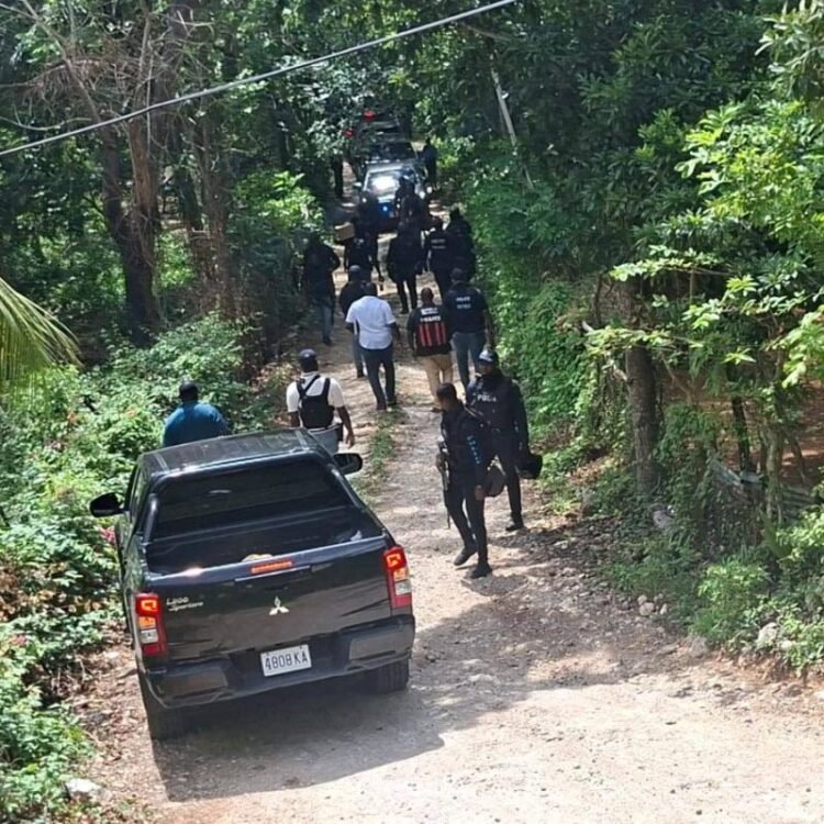 Kristen Gyles | Policing: no walk through the meadows | Commentary