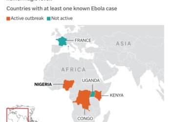 Africa CDC calls Ebola crisis summit as Nigeria records first case | World News