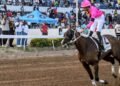 The Prince’s Spur locks in Mouttet Mile favourite tag | Sports