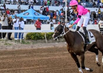 The Prince’s Spur locks in Mouttet Mile favourite tag | Sports