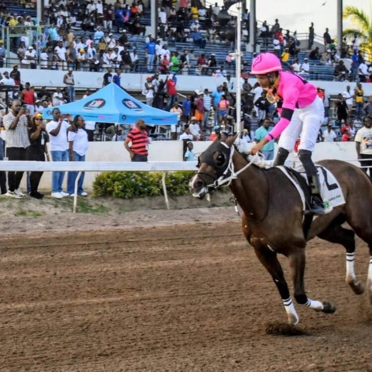 The Prince’s Spur locks in Mouttet Mile favourite tag | Sports