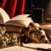 Cuban poetry and theater at the Miami Book Fair