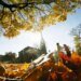 Spring sets course for autumn in trees, says Swiss study