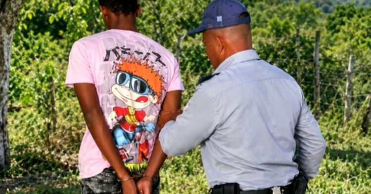 Crimes: In Guantanamo, even the solar panels from the funeral home have been stolen