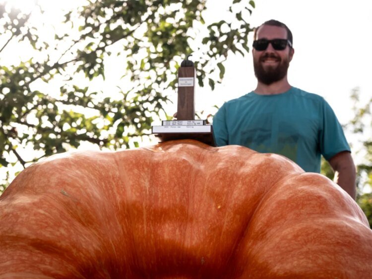 Switzerland’s heaviest pumpkin weighs in at 651kgs