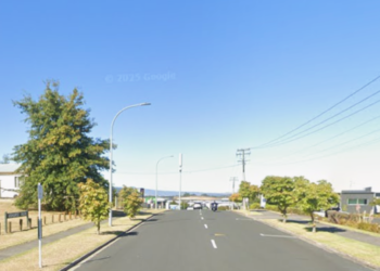 Police name victim after pedestrian dies in Hamilton crash