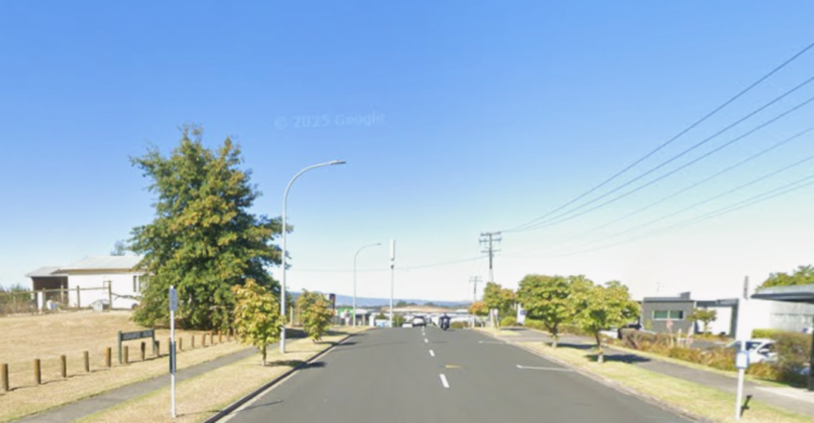 Police name victim after pedestrian dies in Hamilton crash