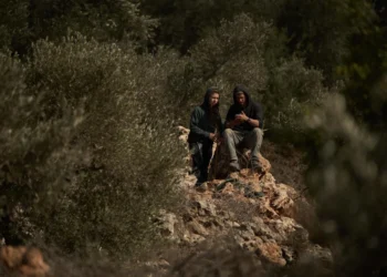 Emboldened Israeli settlers lead a surge of attacks on Palestinians’ olive harvest