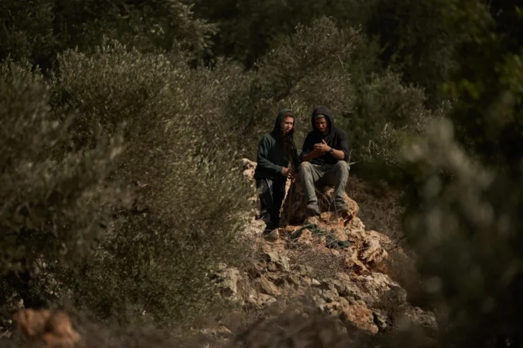 Emboldened Israeli settlers lead a surge of attacks on Palestinians’ olive harvest