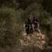 Emboldened Israeli settlers lead a surge of attacks on Palestinians’ olive harvest