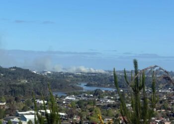 Advisory issued as smoke billows across northwest Auckland from bush area
