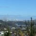 Advisory issued as smoke billows across northwest Auckland from bush area