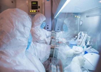 Watch: WHO says possible case of plague in Russia presents ‘very low’ risk outside of the country
