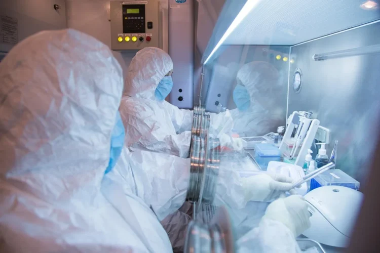 Watch: WHO says possible case of plague in Russia presents ‘very low’ risk outside of the country