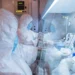Watch: WHO says possible case of plague in Russia presents ‘very low’ risk outside of the country