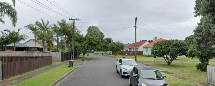 Elderly woman’s car stolen after home broken into in Auckland