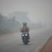Wildfires threaten Indonesia’s orangutans as rescuers find injured animals