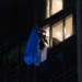 Video shows dramatic moment rescuers smash 23rd floor window and haul BASE jumper to safety
