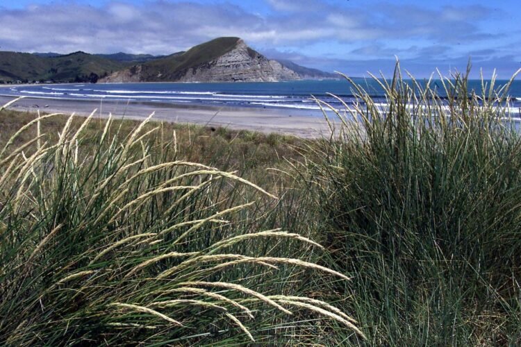 Solo sailor brought home after 11-hour rescue off Māhia