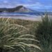Solo sailor brought home after 11-hour rescue off Māhia