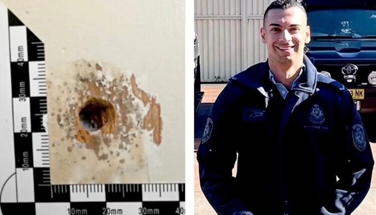 Accused Sydney killer took bodies to family farm of man he met on dating app