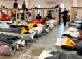 Migration: An NGO denounces that the US will deport a sick Cuban migrant to Africa