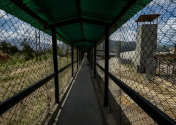 Government of Portugal assures that there are four compatriots political prisoners in Venezuela