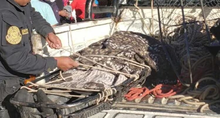PCM approves protocol for the management of human remains in emergencies and disasters