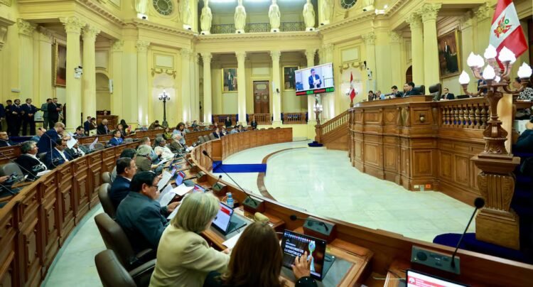 This Wednesday, the Senate plenary session debates an opinion that delegates legislative powers to the Government