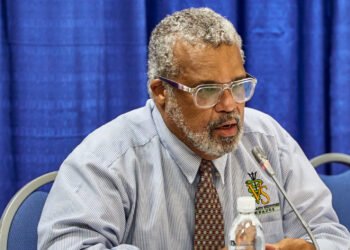 Port checks stepped up after Suriname bird flu outbreak