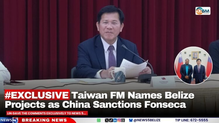 #EXCLUSIVE Taiwan FM Names Belize Projects as China Sanctions Fonseca