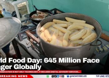 World Food Day: 645 Million Face Hunger Globally
