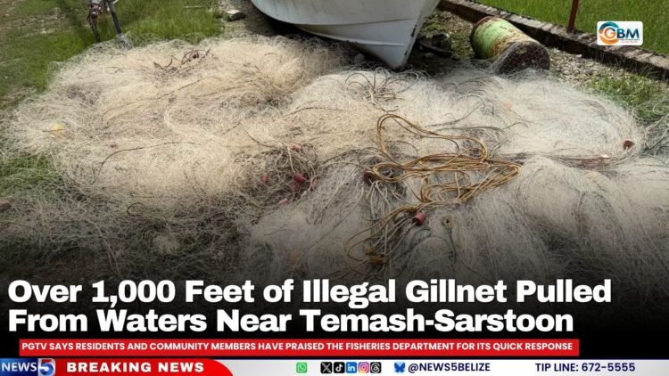 Over 1,000 Feet of Illegal Gillnet Pulled From Waters Near Temash-Sarstoon